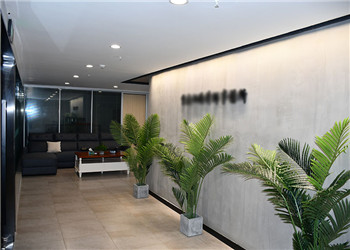 獨(dú)占拆遷安置房同住人索房獲法院支持